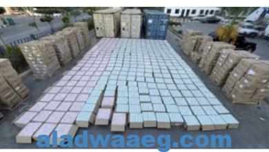 صورة ضبط شحنة أقراص مخدرة بقيمة مليار ونصف المليار جنيه في ميناء الإسكندرية