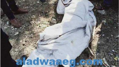 صورة العثور على جثة طفل وسط زراعات إدفو