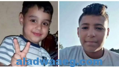 صورة فارس وعبد الرحمن : حكاية طفلين اختفيا في ظروف غامضة بالفيوم
