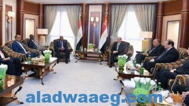 صورة الرئيس السيسي يلتقى الفريق أول عبد الفتاح البرهان، رئيس مجلس السيادة الانتقالي السوداني