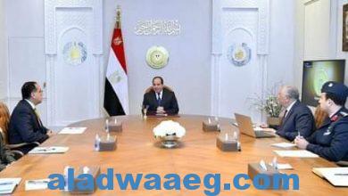 صورة الرئيس السيسي يتابع تطوير منظومة الصادرات الزراعية المصرية