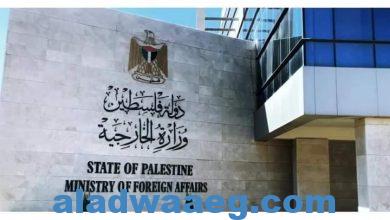 صورة الخارجية الفلسطينية ” تحث الدول لتقديم مرافعاتها القانونية لمحكمة العدل الدولية