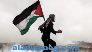 صورة المقاومة البطلة والشجاعة تحرر فلسطين !!