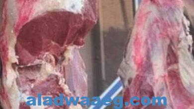 صورة أسعار اللحوم اليوم الاحد 5 فبراير