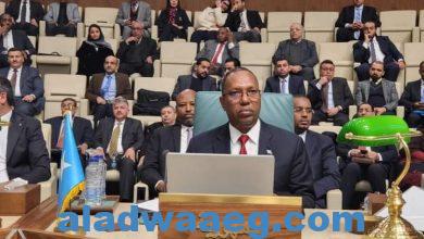 صورة وزير مالية الصومال ” يؤكد انضمام بلاده لمنطقة التجارة الحرة العربية الكبرى