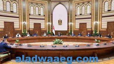 صورة السيد الرئيس يستقبل رؤساء وأعضاء الوفود البرلمانية العربية