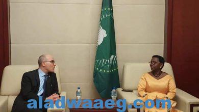 صورة وزير خارجية تونس يلتقي مع نائبة رئيس مفوضية الإتحاد الإفريقي