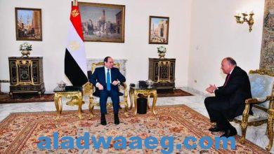 صورة الرئيس السيسى يعقد اجتماعا مع وزير الخارجية المصرية سامح فهمي