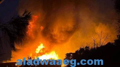 صورة اندلاع حريق فى مخزن لقش الأرز بمنية النصر دون وقوع إصابات