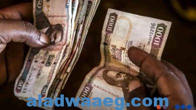 صورة تراجعت العملة الكينية إلى 126 شلناً مقابل الدولار للمرة الأولى