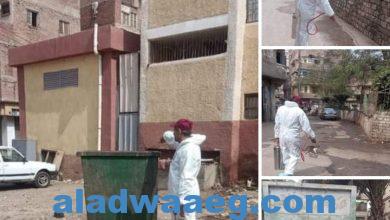صورة في ضوء توجيهات السيد اللواء عبد الحميد الهجان محافظ القليوبيه بالاهتمام بأعمال التطهير والنظافه العامه على كافة المحاور