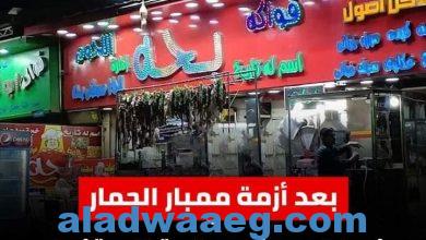 صورة بعد أزمة ممبار الحمار.. ضبط لحوم غير صالحة للاستخدام الآدمي بمطعم بحة بمدينة نصر