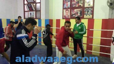 صورة رياضة الإسكندرية تجري تدريبات الملاكمة ضمن المشروع القومى للموهبة والبطل الأوليمبى