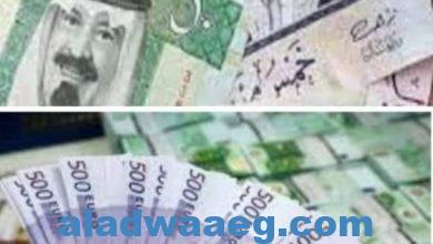 صورة اسعار العملات العربيه والاجنبيه اليوم