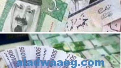 صورة اسعار العملات العربية والاجنبيه اليوم