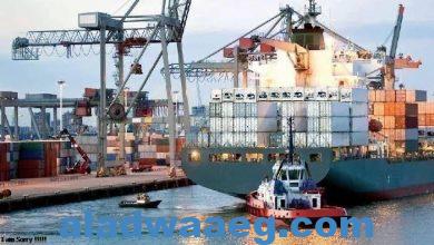 صورة ميناء دمياط يتداول 3.9 مليون طن خلال فبراير الماضي بزيادة قدرها 2%