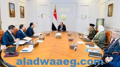 صورة اجتماع موسع للسيسى مع مدبولى وعدد من الوزراء بهدف التنمية المجتمعية لاهالى سيناء