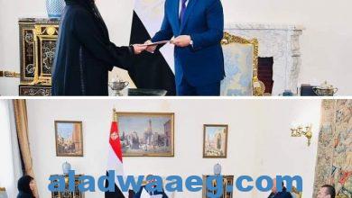 صورة الرئيس عبد الفتاح السيسي يستقبل سفيرة دولة الإمارات العربية المتحدة بالقاهرة