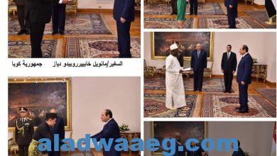 صورة الرئيس السيسى يعتمد اوراق عدد من السفراء لدى جمهورية مصر العربية