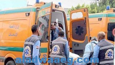صورة عاجل…. وفاة شخص وإصابة 16 من تصادم ميكروباص وربع نقل قرب مدينة الحمام بمطروح