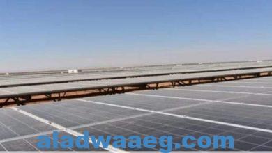 صورة دخل قومي يوفر مليارات الدولارات مصر تنفذ أكبر مشروع للطاقة في أفريقيا