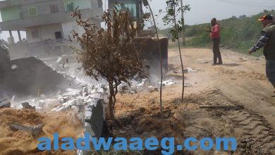 صورة إزالة حالة تعدي على أرض زراعية في جمعية العبور جنوب بورسعيد على مساحة 250 م