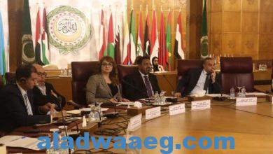صورة أياد وطنية تبني المجتمع العربي في منتدى الأول لمجلس الأسرة العربية للتنمية