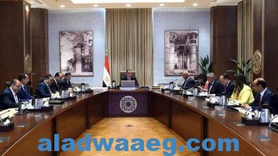 صورة رئيس الوزراء يتابع تنفيذ جهود جذب وتعظيم سياحة اليخوت