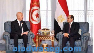 صورة الرئيس السيسى يلتقى نظيره التونسى على هامش مشاركته في القمة العربية بجدة