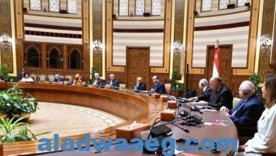 صورة السيد الرئيس يلتقى أعضاء مجلس أمناء مكتبة الإسكندرية