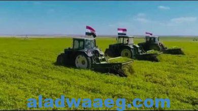 صورة الرئيس السيسى يتابع الموقف التنفيذى لمشروع مستقبل مصر للإنتاج الزراعي