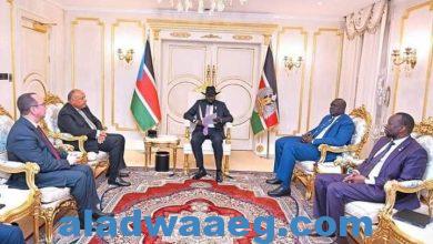 صورة فى مستهل زيارته لجنوب السودان وزير الخارجية يلتقي الرئيس سلفا كير