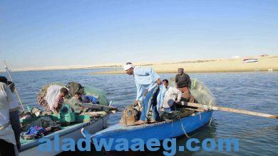صورة الثروة السمكية يستعد لطرح مزرعة بكفر الشيخ بمساحة 903 أفدنة
