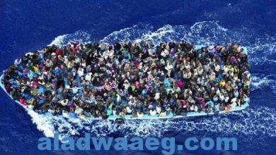 صورة ” ليلي الهمامي ” تحذر من تفشي الهجرة السرية على متن قوارب بحرية من سواحل تونس