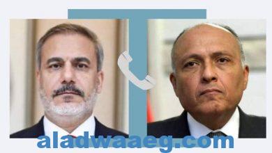 صورة وزير الخارجية المصري يجري اتصالاً هاتفياً بوزير خارجية تركيا للتهنئة بتوليه المنصب