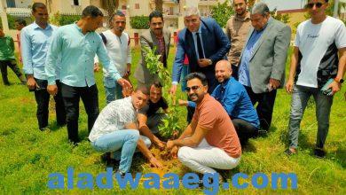 صورة رئيس جهاز مدينة النوبارية الجديدة يستكمل مبادرة زراعة الأشجار المثمرة