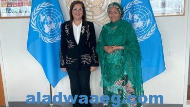 صورة وزيرة التخطيط والتنمية الاقتصادية تبحث سبل التعاون مع نائبة الأمين العام للأمم المتحدة