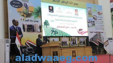 صورة محافظة الوادي الجديد تُطلق مؤتمر “الزراعات التعاقدية وتمويل المشروعات التنموية”