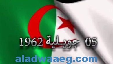 صورة ” ليلي الهمامي ” توجه التهنئة للجزائر في عيد استقلالها