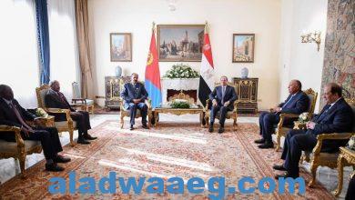 صورة الرئيس يستقبل الرئيس الأرتيرى على هامش قمة دول جوار السودان