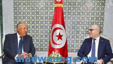 صورة وزير خارجية تونس يشهد جلسة تشاورية مع نظيره المصري