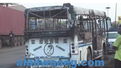 صورة ” ليلي الهمامي ” تدين الهجوم على حافلة ركاب بالسنغال وتصفه بالعمل الإرهابي