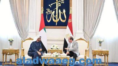 صورة السيد الرئيس يستقبل الشيخ ” محمد بن زايد ” رئيس دولة الإمارات العربية