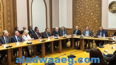 صورة اجتماع وزير الخارجية بالسادة السفراء المنقولين للعمل كرؤساء لبعثات مصر في الخارج