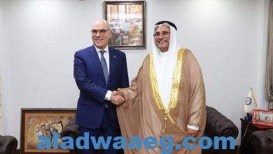 صورة “رئيس البرلمان العربي” يجري تشاورات ثنائية مع وزير خارجية تونس بالقاهرة