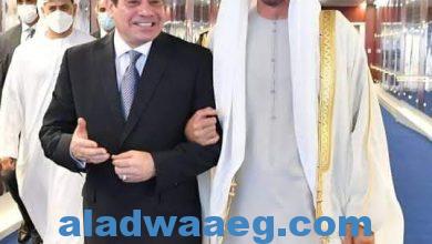 صورة السيد الرئيس يتوجه لدولة الإمارات العربية المتحدة للقاء الشيخ محمد بن زايد