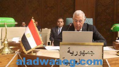 صورة وزير الزراعة يلقى كلمة بجامعة الدول العربية في ورشة العمل التشاورية حول حالة الأمن الغذائي العربي