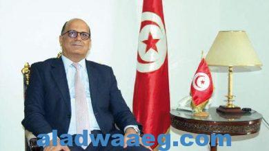 صورة سفير تونس : وصول طائرة عسكرية تونسية إلى مطار العريش. نشكر مصر على تسهيل الاجراءات