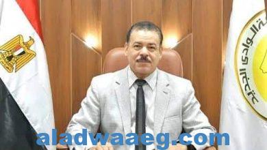 صورة قرار جمهوري : بتجديد الثقة في عبد العزيز طنطاوي رئيسًا لجامعة الوادي الجديد لفترة ثانية