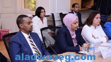 صورة الصومال “ضيف شرف” البرنامج التدريبي لبناء قدرات عضوات الشبكة العربي للنساء